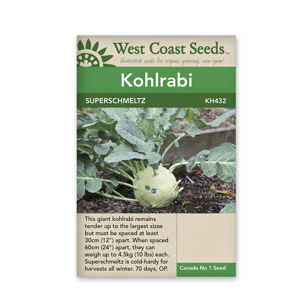 Kohlrabi Seeds Liveseeds New 10 Seeds