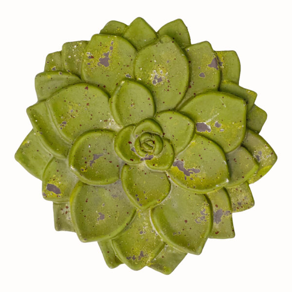 Succulent Stepping Stone