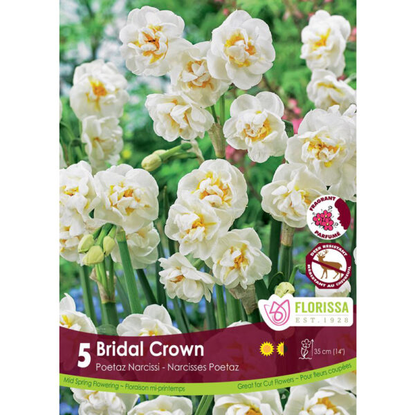 Narcissi - Bridal Crown