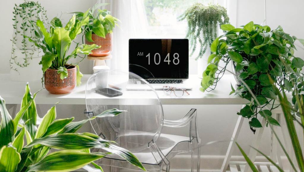 WORKING FROM HOME? JUST ADD PLANTS!