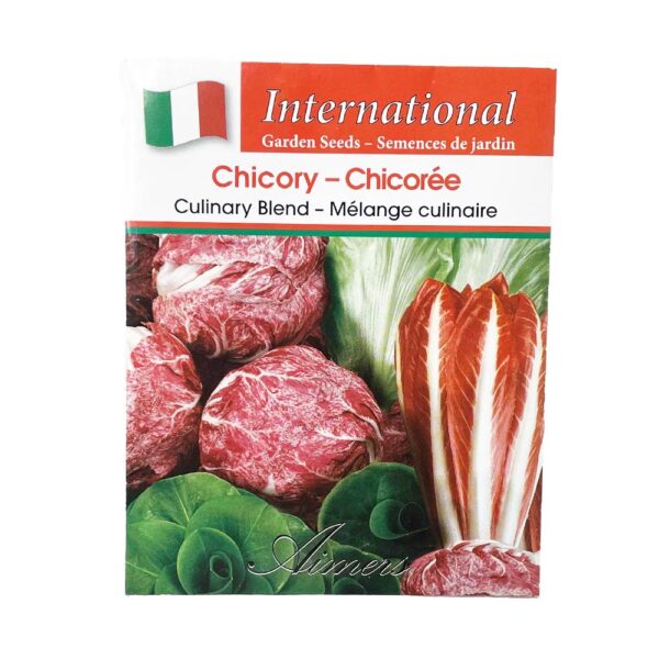 culinary blend chicory seeds