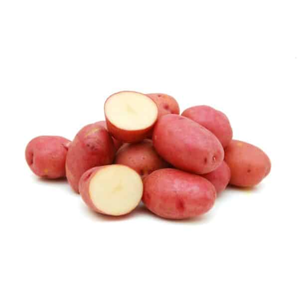 Red Viking Seed Potatoes