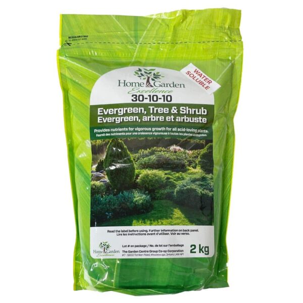 Evergreen Tree and Shrub Fertilizer
