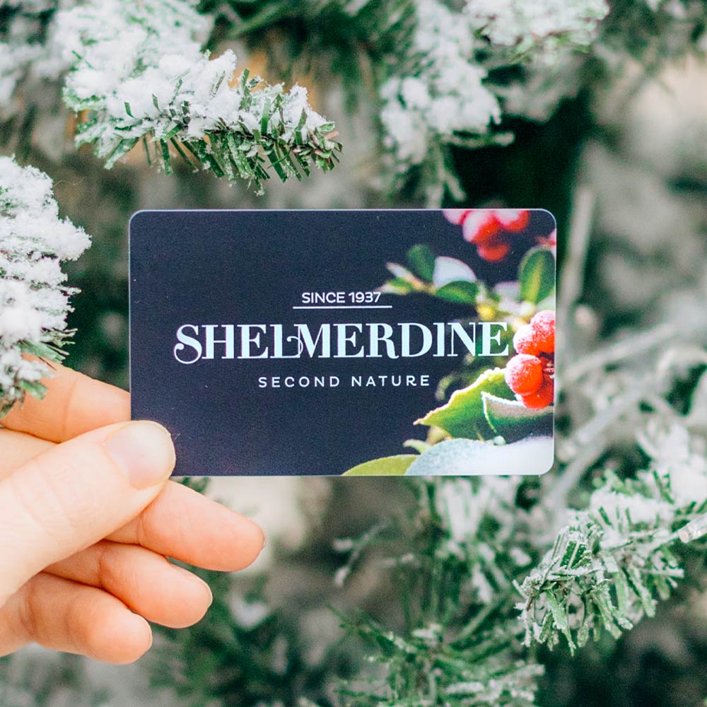 Shelmerdine Gift Card - Image 5