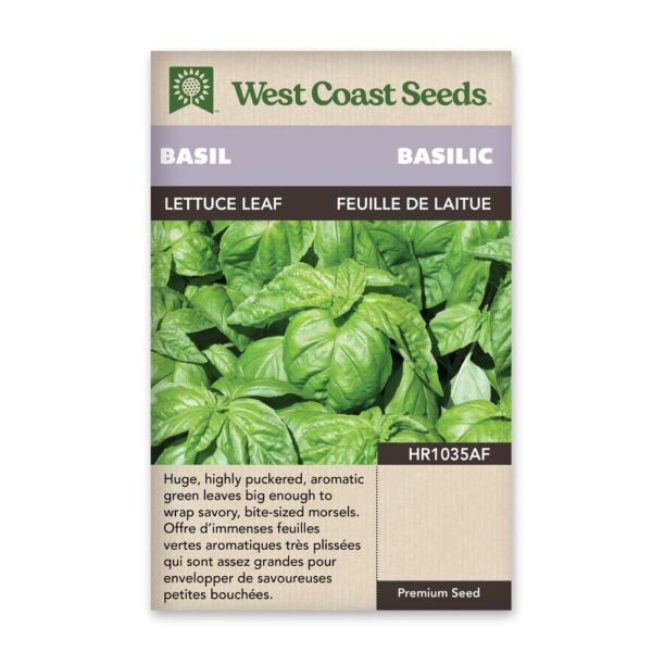 Lettuce Leaf Basil Seeds