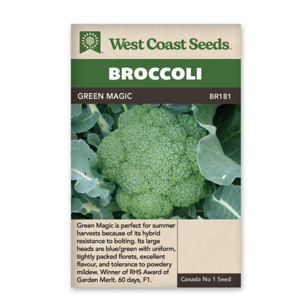 Green Magic Broccoli
