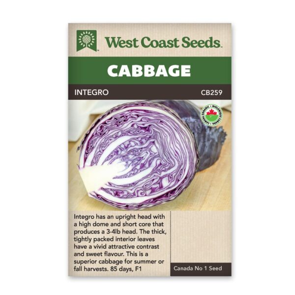Integro Organic Cabbage