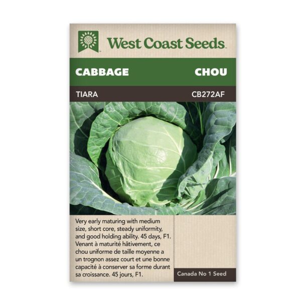 Tiara Cabbage
