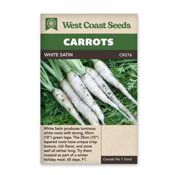 White Satin Carrot