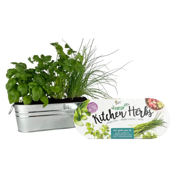 Kitchen Herbs Windowsill Kit